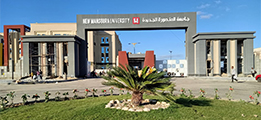 New Mansour University
