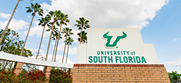 University of South Florida