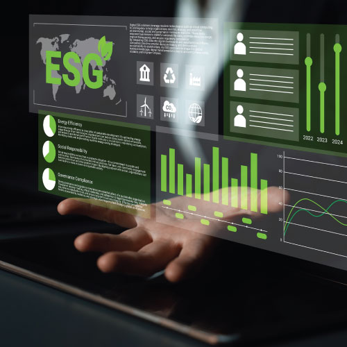 Sus Strategy - small