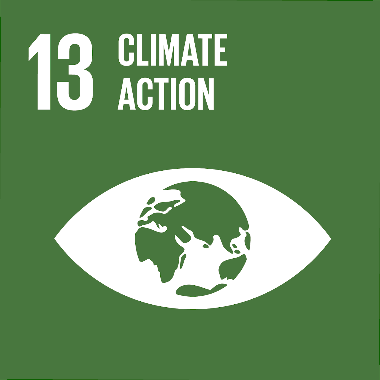 sdg1