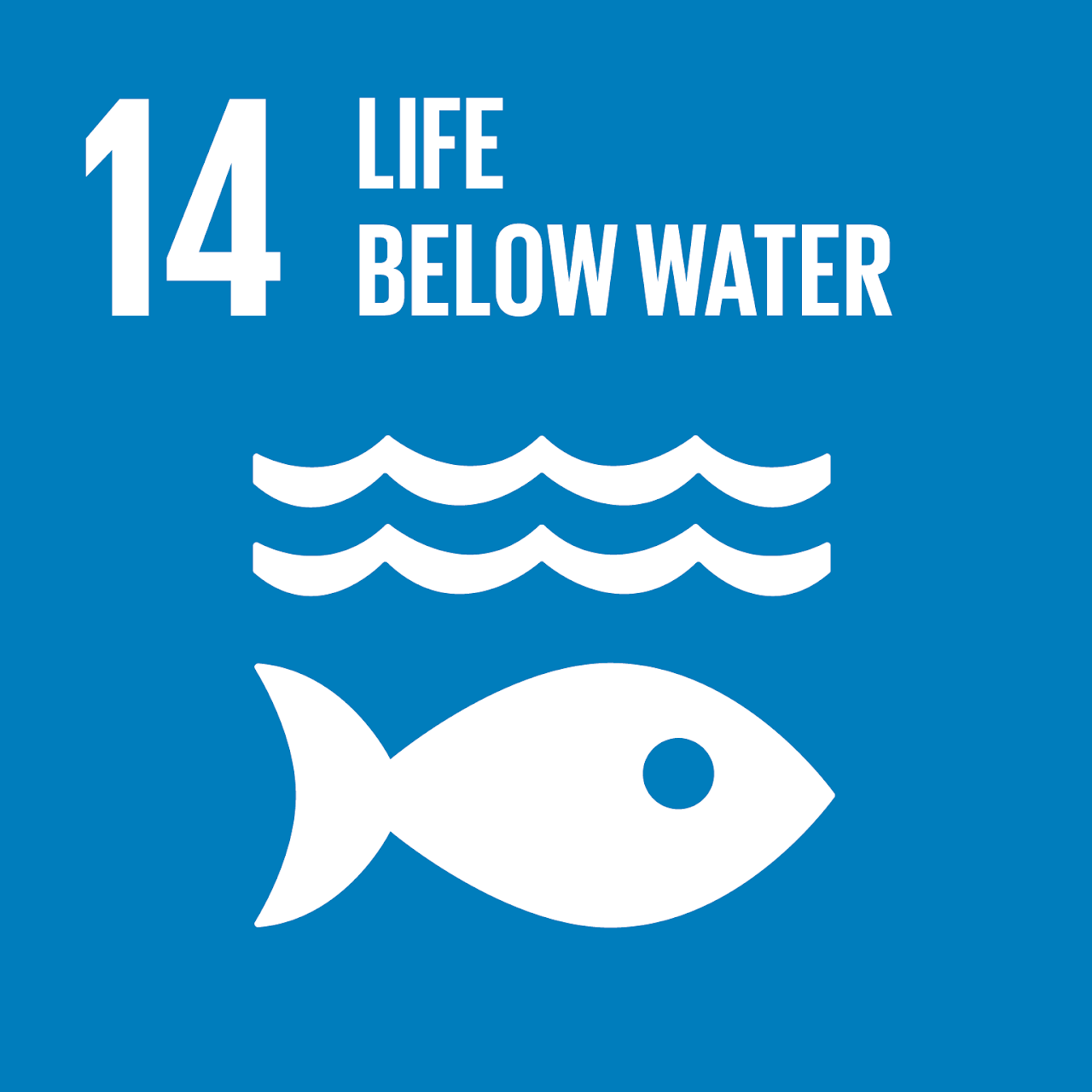 sdg1