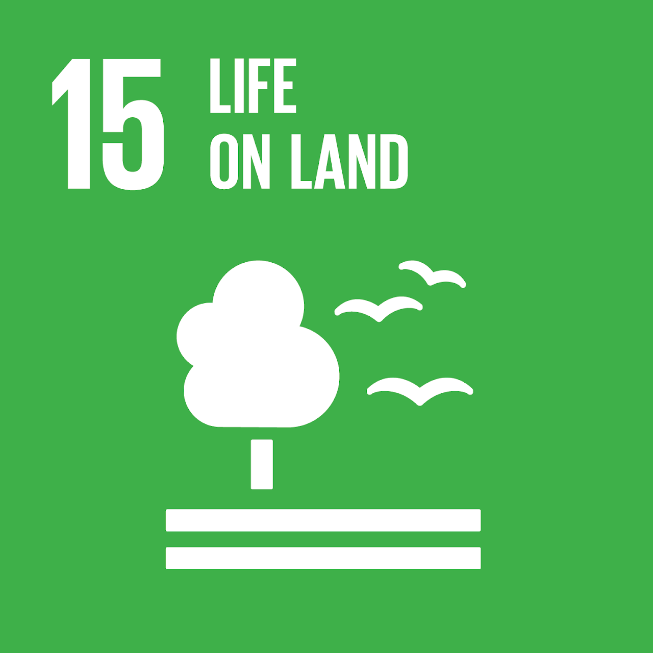 sdg1