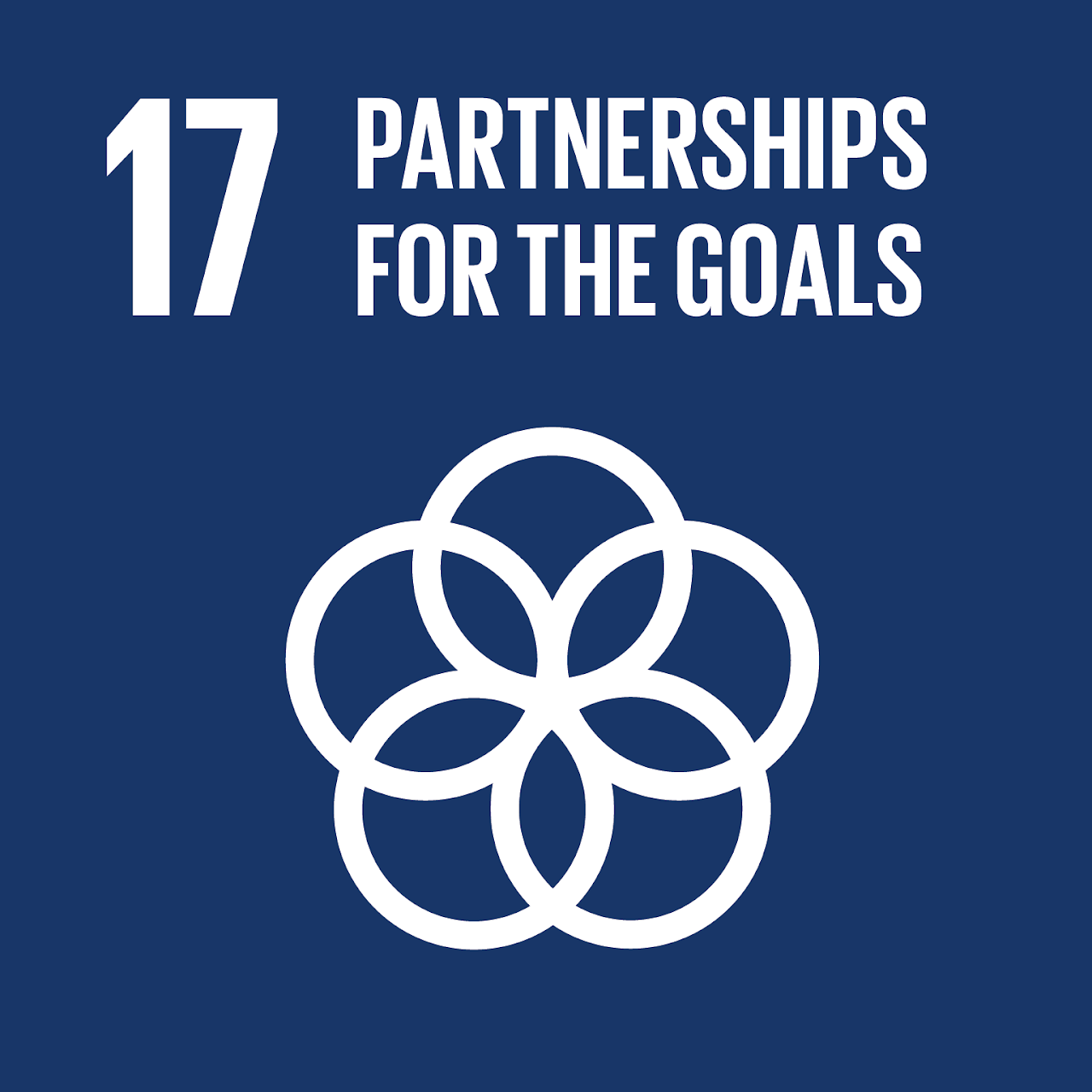 sdg1