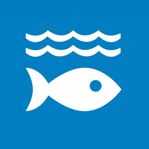 SDG 14 icon – Life Below Water symbol promoting marine conservation.