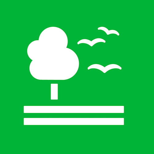 SDG 15 icon – Life on Land symbol advocating for land preservation and biodiversity.
